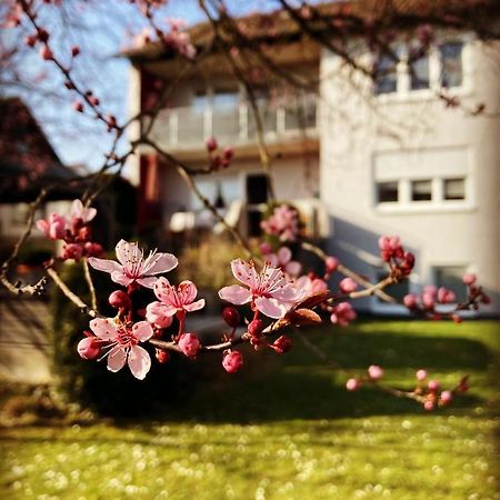 Ferienwohnung Im Aalbachtal - Uettingen Bei Wuerzburg Eksteriør billede