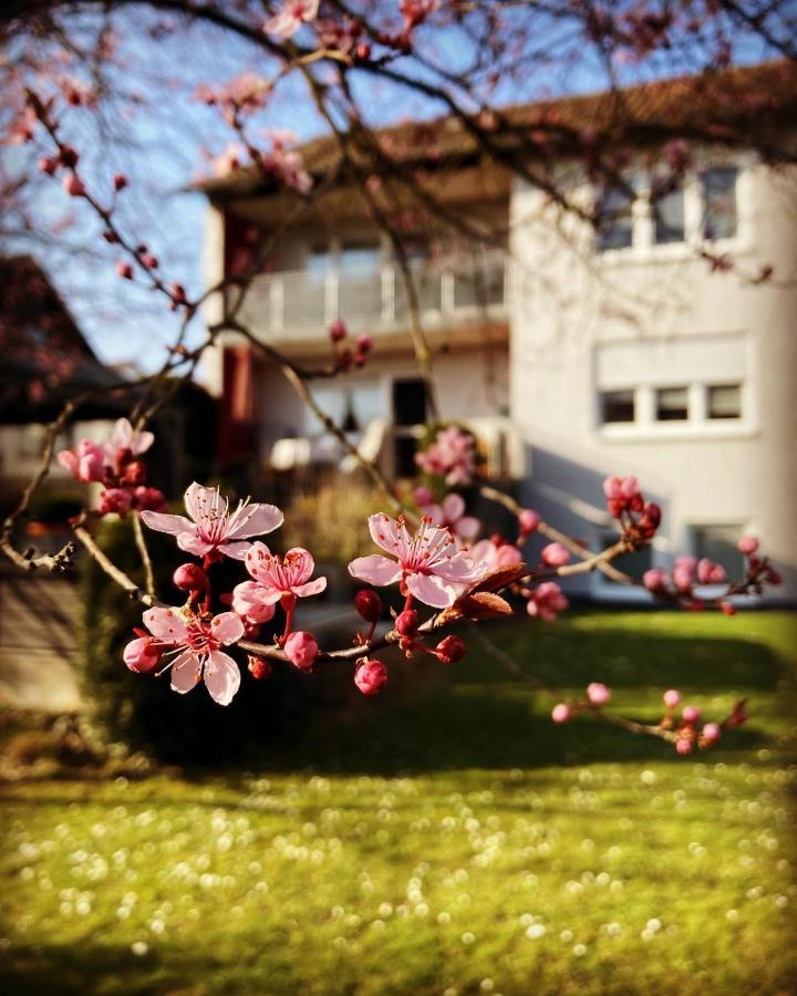 Ferienwohnung Im Aalbachtal - Uettingen Bei Wuerzburg Eksteriør billede